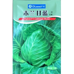 广东广良 木兰甘蓝 结球牛心形 早熟 耐裂球 球心形 球重约1~1.3千克 一代交配  甘蓝种子 10装