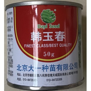 北京大一种苗 韩玉春萝卜 适合早春种植 耐抽苔 根皮白 60天收获 单根重1.2kg左右 50克装