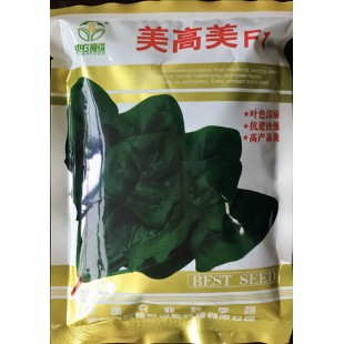 中国农科院中农福德 美高美杂交菠菜 早熟性好 抗冻 耐抽苔 叶色深绿 高抗病 抗冻 株型直立 300克装 菠菜种子