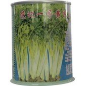 深圳范记 一号黄芹种子 耐抽苔 抗病力强 产量高 黄芹种子 瓶装 50克罐装