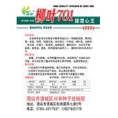 清远清蔬 柳叶701甜菜心777王种子 叶柄短 柳叶形 油绿色 200克装