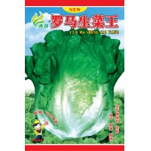 清远清蔬 罗马生菜王种子 耐热 耐寒 耐抽苔 10克装