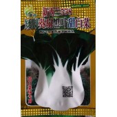 清远清蔬 新西兰558矮脚葵扇黑叶甜白菜 酒店专用 耐热 耐寒 耐雨水 20克装