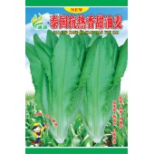 清远清蔬 泰国高产香甜油麦 发芽快 特高产 口味香浓 15克装