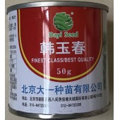 北京大一种苗 韩玉春萝卜 适合早春种植 耐抽苔 根皮白 60天收获 单根重1.2kg左右 50克装