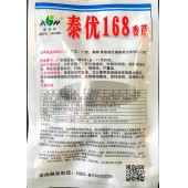广东爱普农 泰优168香芹 小叶近圆形 春夏秋均可栽培 夏季高温栽培优势明显 50克装 芹菜种子
