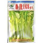 广东爱普农 泰优168香芹 小叶近圆形 春夏秋均可栽培 夏季高温栽培优势明显 50克装 芹菜种子