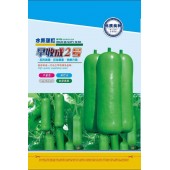 广州阳兴 早收成2号水果蒲瓜 极早熟．春植播种至初收约50天 单瓜重约500克 肉质嫩滑 蒲瓜种子 10克装