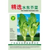 广东粤蔬 精选水东芥菜种子 广东农科院选育 早中熟 亩产量1250-1800公斤 芥菜种子 20克装