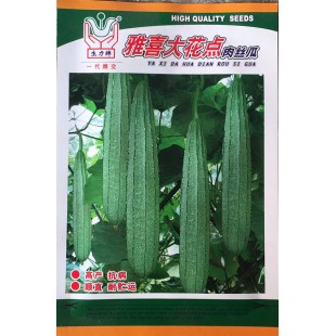 中山有记菜种 雅喜大花点肉丝瓜 高产 抗病 顺直 耐贮运 丝瓜种子 10克装
