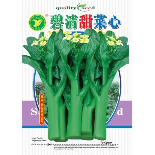 广东农科院 碧清甜菜心种子 早熟 株型矮壮 叶柄短基叶 叶片中等 椭圆形 油绿色 菜苔较粗 菜心种子 400克装