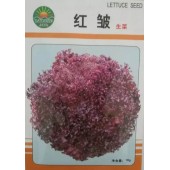 北京绿东方 红皱生菜 国外引进 红紫色 色泽艳丽 喜光 较耐热 生育期45天 10克装 生菜种子