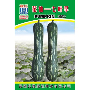 河南豫鼎红 花仙七叶早南瓜 早熟 圆条形 嫩瓜单果重约1公斤肉质脆甜 老瓜单瓜重4公斤粉质甘甜 10克装 南瓜种子
