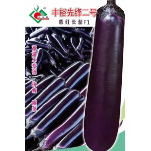 连州丰裕 丰裕先锋二号 高温不变色 抗病 粗条 1000粒装 茄子种子