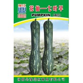 河南豫鼎红 花仙七叶早南瓜 早熟 圆条形 嫩瓜单果重约1公斤肉质脆甜 老瓜单瓜重4公斤粉质甘甜 10克装 南瓜种子
