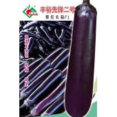 连州丰裕 丰裕先锋二号 高温不变色 抗病 粗条 1000粒装 茄子种子