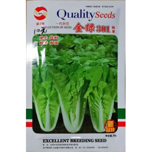 北京盛丰地 金绿301快菜 生长速度快 抗热 抗湿 抗病 株形直立 20克装 快菜种子
