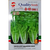 北京盛丰地 金绿301快菜 生长速度快 抗热 抗湿 抗病 株形直立 20克装 快菜种子