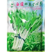 深圳范记 白俊柳叶空心菜 梗雪白 叶浅油绿色 叶片中细长 纤维少 500克装