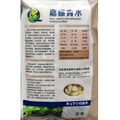 北京育正泰 嘉藤青木 黄瓜砧木 1000粒装 砧木种子
