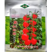 广州绿霸 新红玲珑以色列樱桃番茄种子 耐裂果 口感味鲜甜 糖度高 特耐贮运 番茄种子 1克装