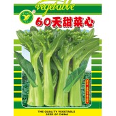 广东粤蔬 60天甜菜心 植株生长旺盛 叶柄短 叶片中等椭圆形 油绿有光泽 纤维少 品质佳 400克装 菜心种子