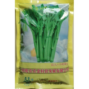 广州乾农 菜科所四九-19号菜心种子 早熟油青菜心 播种至初收28-30天 亩用种400-500克  菜心种子 450克装