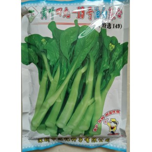 深圳范记 黄叶四九-19号油白菜心种子 早中熟品种 抗热耐湿性强 产量高 菜心种子 400克装