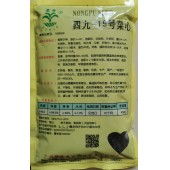 广州乾农 菜科所四九-19号菜心种子 早熟油青菜心 播种至初收28-30天 亩用种400-500克  菜心种子 450克装