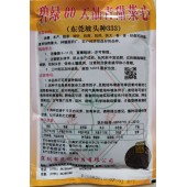深圳范记 碧绿60天油青甜菜心种子  油青 丰产 粗条 短叶 抗热耐湿性强 产量高 菜心种子 250克装