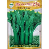 深圳范记 碧绿60天油青甜菜心种子  油青 丰产 粗条 短叶 抗热耐湿性强 产量高 菜心种子 250克装