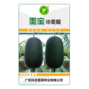 广东粤蔬 墨宝小冬瓜  适合用作冬瓜盅 50粒装