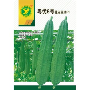 广东农科院 粤优8号丝瓜种子 产量高 抗性强 肉质厚实 口感脆甜 风味好 丝瓜种子 10克装