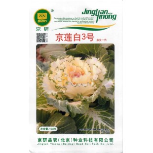 北京京研益农种业 京莲白3号羽衣甘蓝 100粒