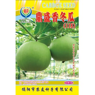 揭阳农友 鼎盛香冬瓜 耐热 单果重1.5-2公斤 20粒装