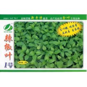 广州科田  辣椒叶1号种子  嫩茎叶子生长快速 国内最为畅销的辣椒叶专用品种 辣椒叶种子 100克装