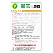 广东粤蔬 墨宝小冬瓜  适合用作冬瓜盅 50粒装