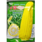 农友利 中甜228超甜生食水果玉米 抗性好 苞大 味甜 200克装 水果玉米种子