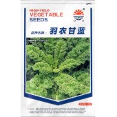 北京东升种业 羽衣甘蓝 约2000粒 10克装
