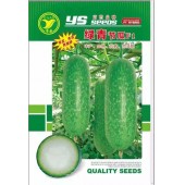 广东科农 粤蔬 绿青节瓜 丰产 早熟 抗病肉清甜 3克装 节瓜种子