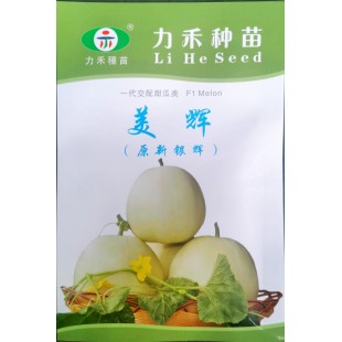 贵州力禾 美辉甜瓜 