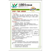 广州阳兴 1801早熟青椒种子 早熟 抗病 盛收期果长22厘米 单果约50-70克 辣椒种子 1000粒装