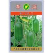 广东粤蔬 粤广节瓜种子 广东农科院选育 亩产4000公斤商品瓜重300克以上 节瓜种子 20克装