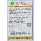 广东粤蔬 粤广节瓜种子 广东农科院选育 亩产4000公斤商品瓜重300克以上 节瓜种子 20克装