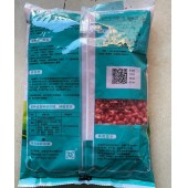 襄阳正大 正大999玉米杂交种 株型半紧凑 饲料玉米种 籽粒黄色 1kg装