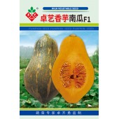 广州卓艺 香芋南瓜种子 农科院老专家选育 香味特浓 肉质致密 味香 适宜出口 南瓜种子 100粒