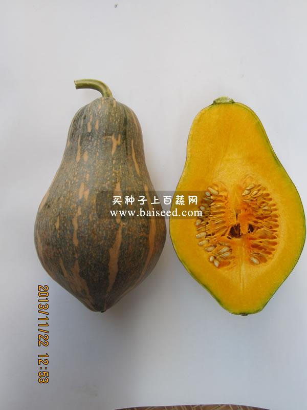 广州卓艺 香芋南瓜种子 农科院老专家选育 香味特浓 肉质致密 味香 适宜出口 南瓜种子 100粒