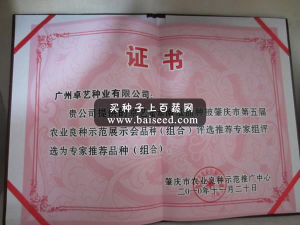 广州卓艺 蜜本南瓜种子 农科院老专家选育  中熟强烈推荐 南瓜种子 40克罐装