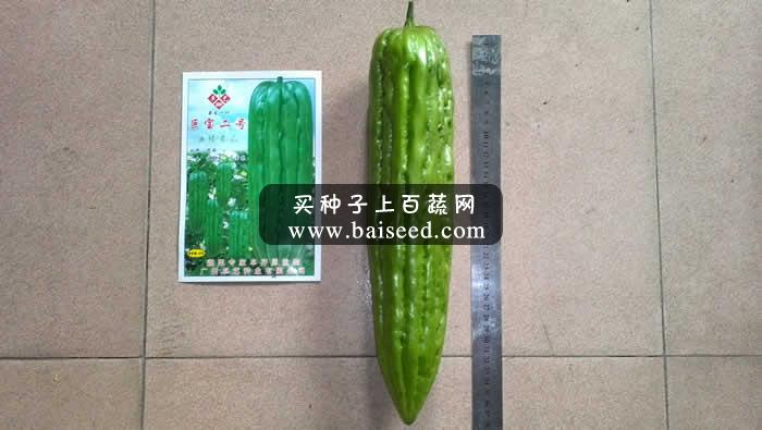 广州卓艺 巨宝二号油绿苦瓜种子 农科院老专家选育 皮色油绿 瓜大 苦瓜种子 20克装