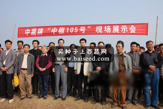 北京中蔬 中椒105号甜椒种子 中国农科院出品 产量极高 抗性好 甜椒种子 10g